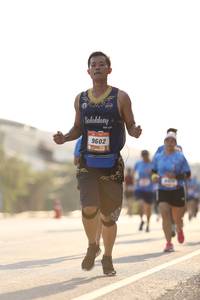 BIB: 9602
                            <button type="button" onclick="openModal(3103986)" class="btn btn-primary btn-sm float-right btn-popup" data-toggle="modal" data-target=".modal-high-quality">
                        <i class="fas fa-shopping-cart"></i> Add to Cart
                    </button>
                                            <button type="button" onclick="isThisMe(3103986, true)" class="btn btn-success btn-sm float-right btn-popup btn-isme hidden" data-toggle="tooltip" data-placement="bottom" title="นี่คือรูปของคุณใช่ไหม คลิกที่นี่เพื่อเอาเข้าอัลบั้ม">
                        <i class="fas fa-plus"></i> Add to album
                    </button>
                    <button type="button" onclick="isThisMe(3103986, false)" class="btn btn-warning btn-sm float-right btn-popup btn-isnotme hidden">
                        <i class="fas fa-ban"></i> Remove from album
                    </button>